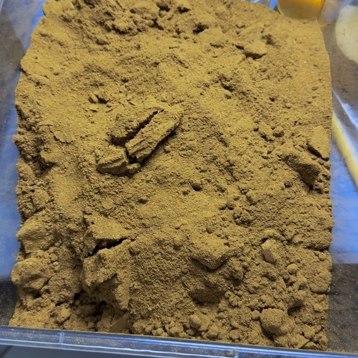 丫***丫线香陆河香粉75克，以直播间为准