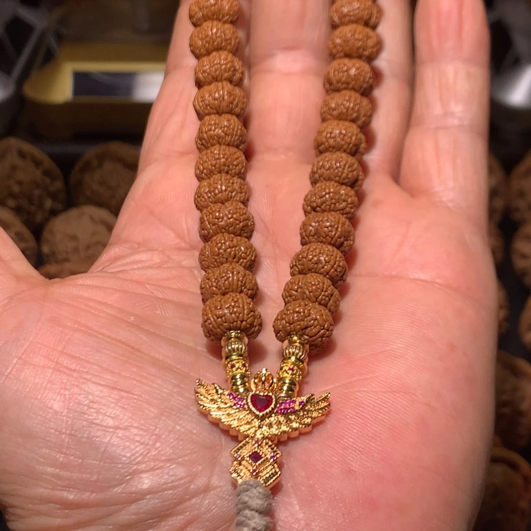 114龙鳞王小金刚一物一图