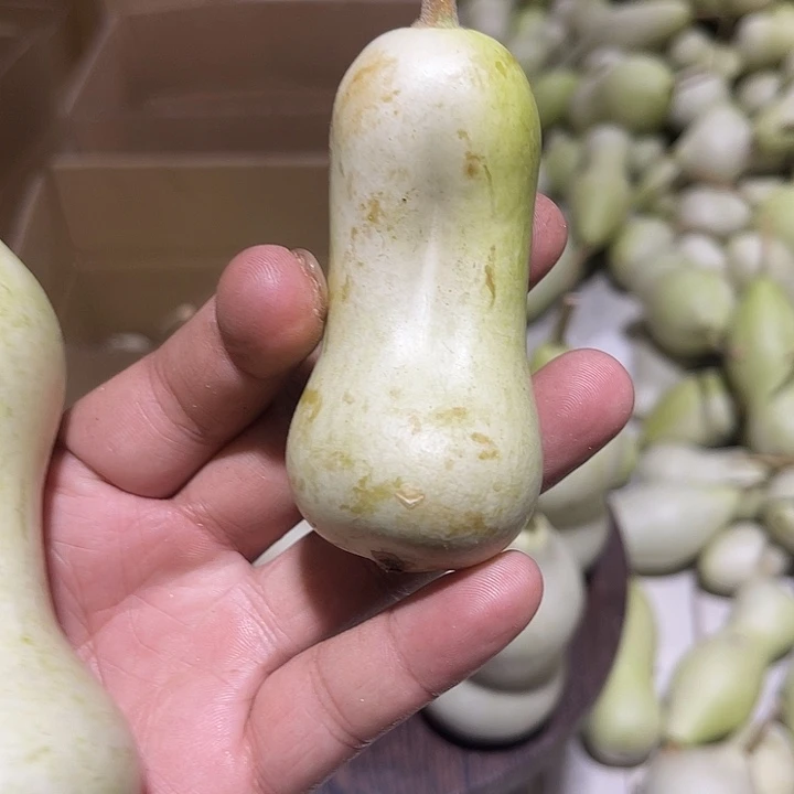 非洲紫檀（红花梨）洋*