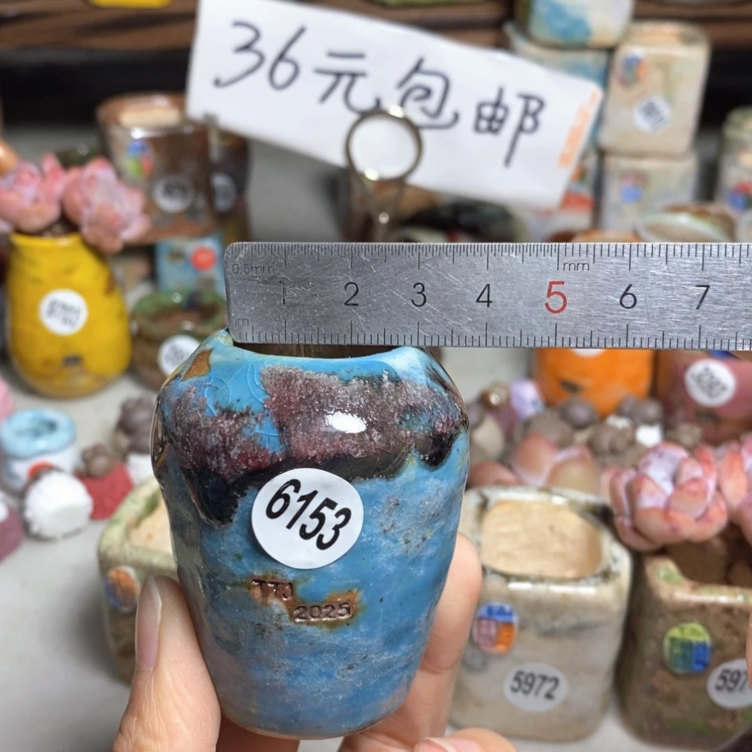 拍3送一个小礼物