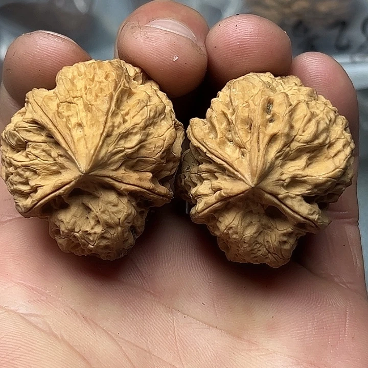 文玩核桃把件65号异形四棱39尺
