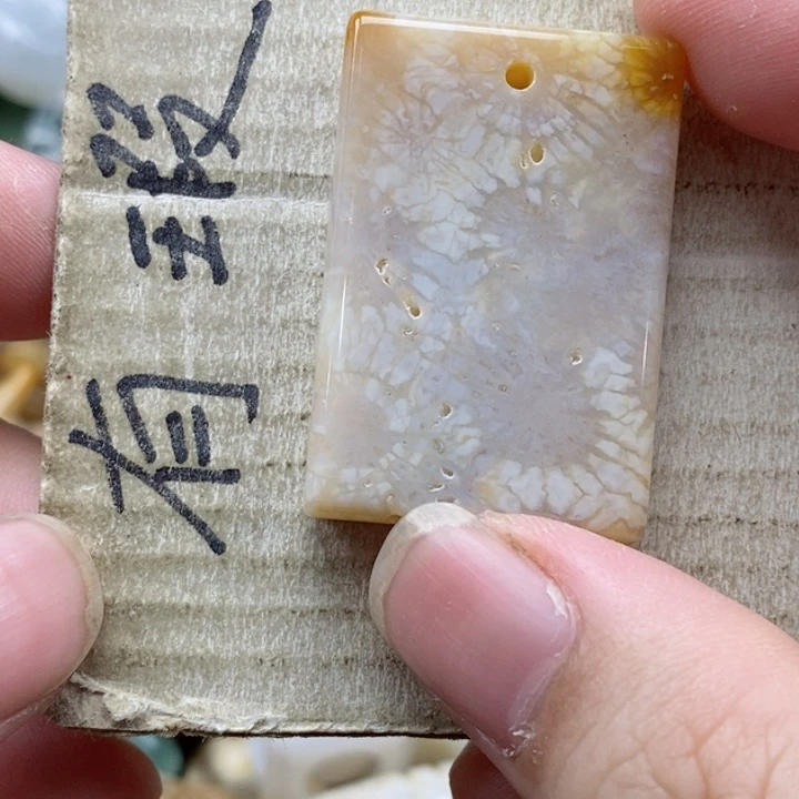 硅化珊瑚（珊瑚玉）未镶嵌颈饰◇****落