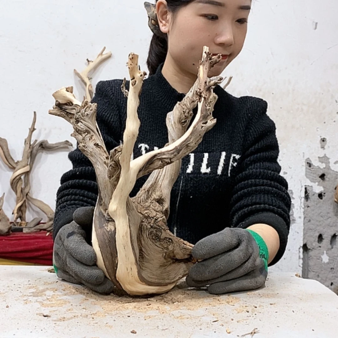 【闪购商品】柏木慧****商我们都是好孩子