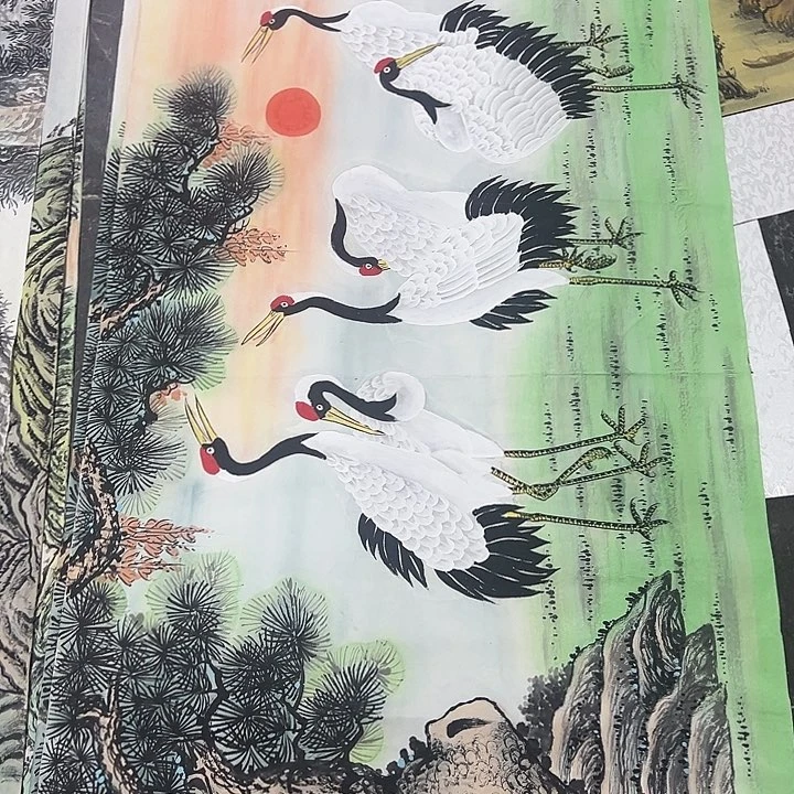 落地款新号开播福利多多