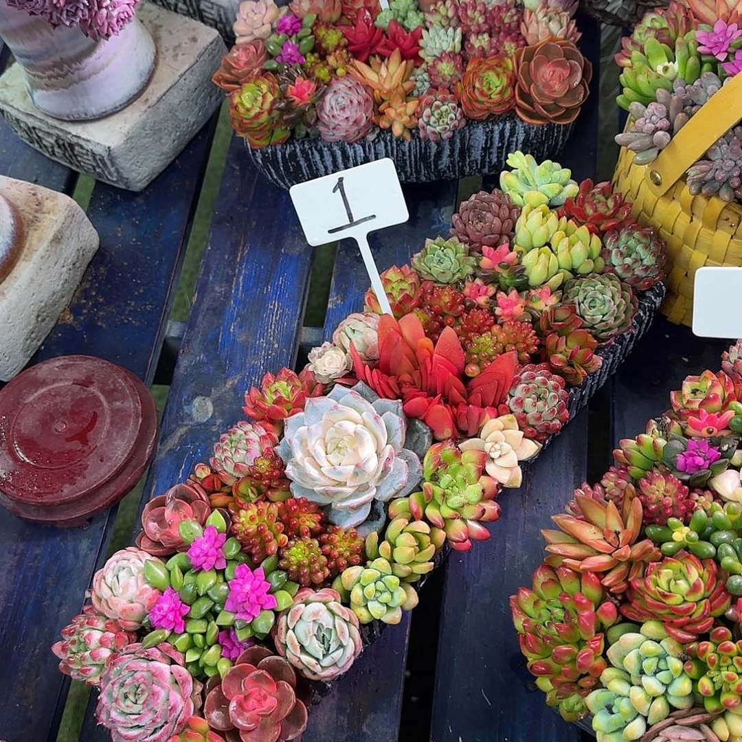 这个真的是很不错大长条