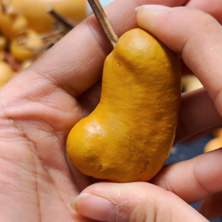 过***688888888888888888888