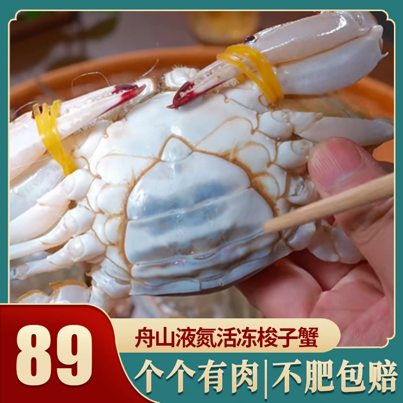 共10只3-4两/只【冻蟹】白蟹螃蟹母蟹梭子蟹到手三斤肉母蟹无膏飞蟹