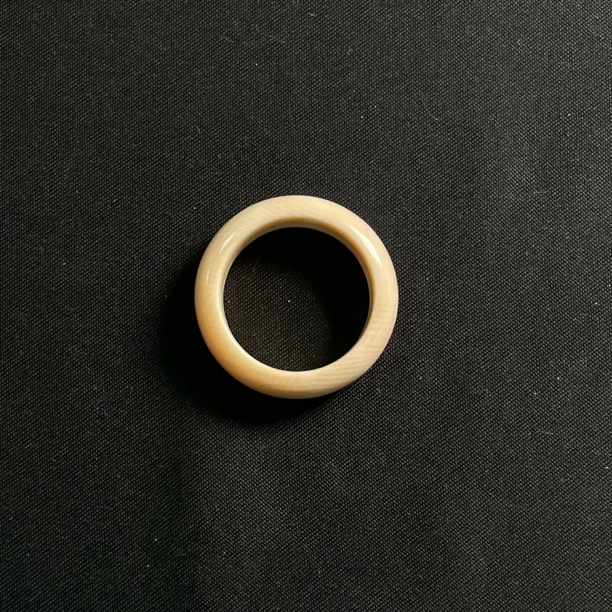 PY43戒指 只做天然猛犸牙