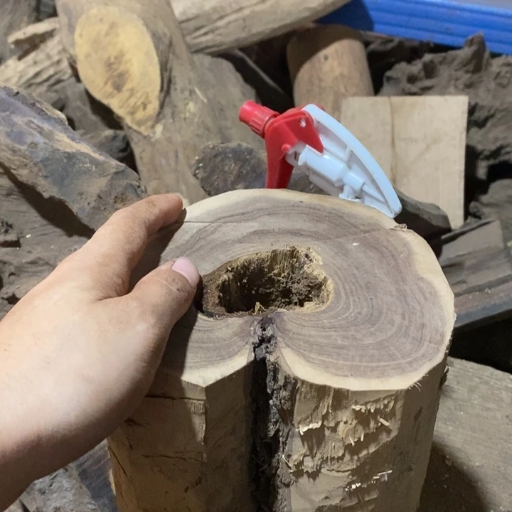 其他贡木?**?定制不退不换