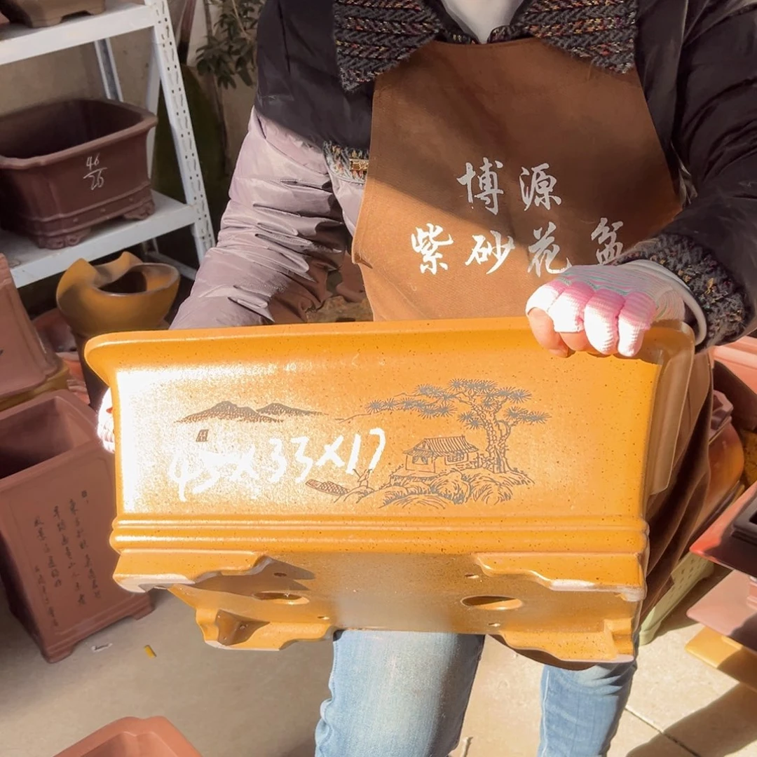 花盆紫砂盆景艺术