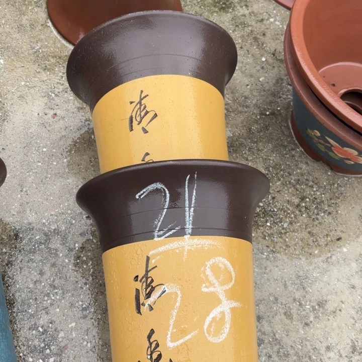 紫砂花盆紫砂的花