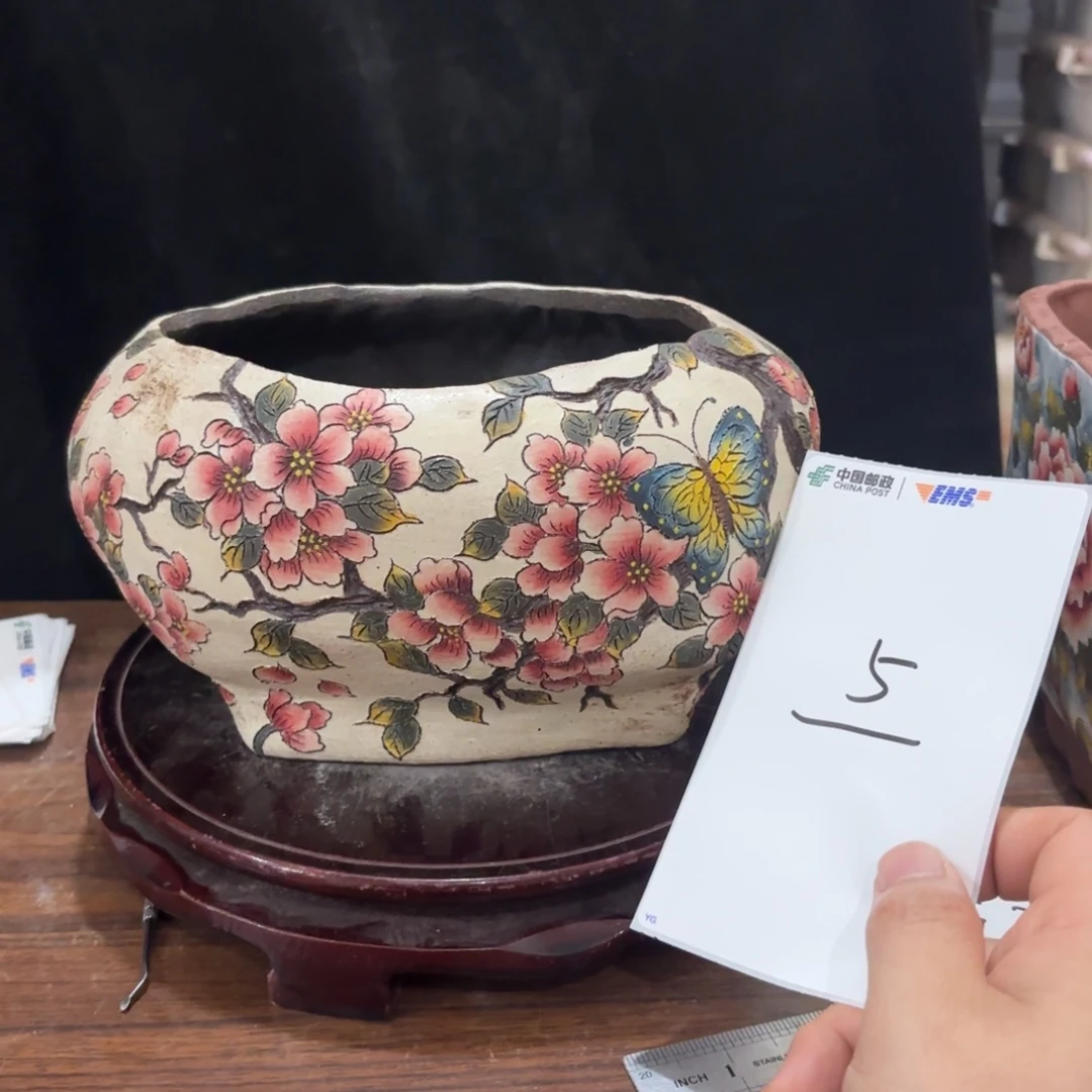 茉****罐紫砂哈哈哈哈哈哈哈哈哈