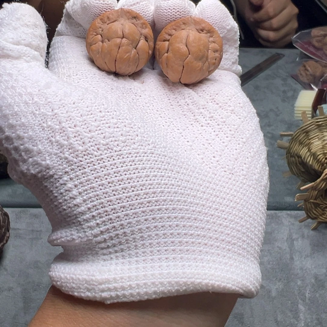 吊坠文玩核桃金刚鹦鹉