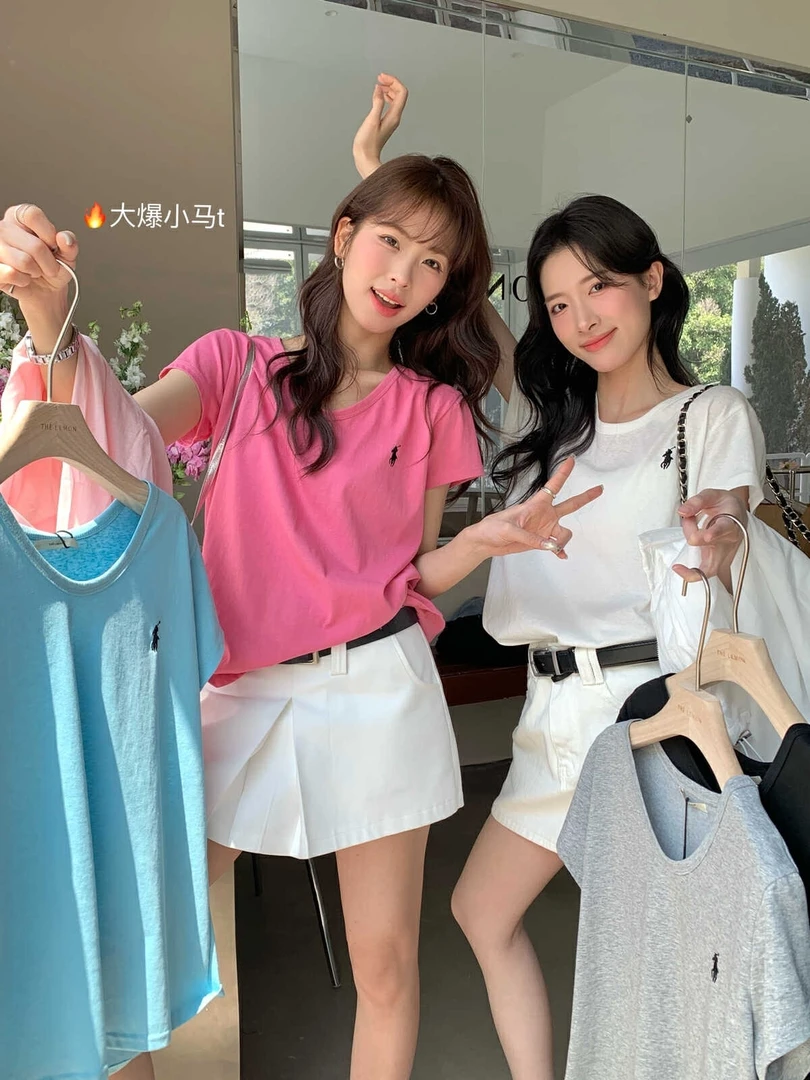 FY超推荐！小马刺绣T很凉快！韩系必备百搭松弛感短袖T恤