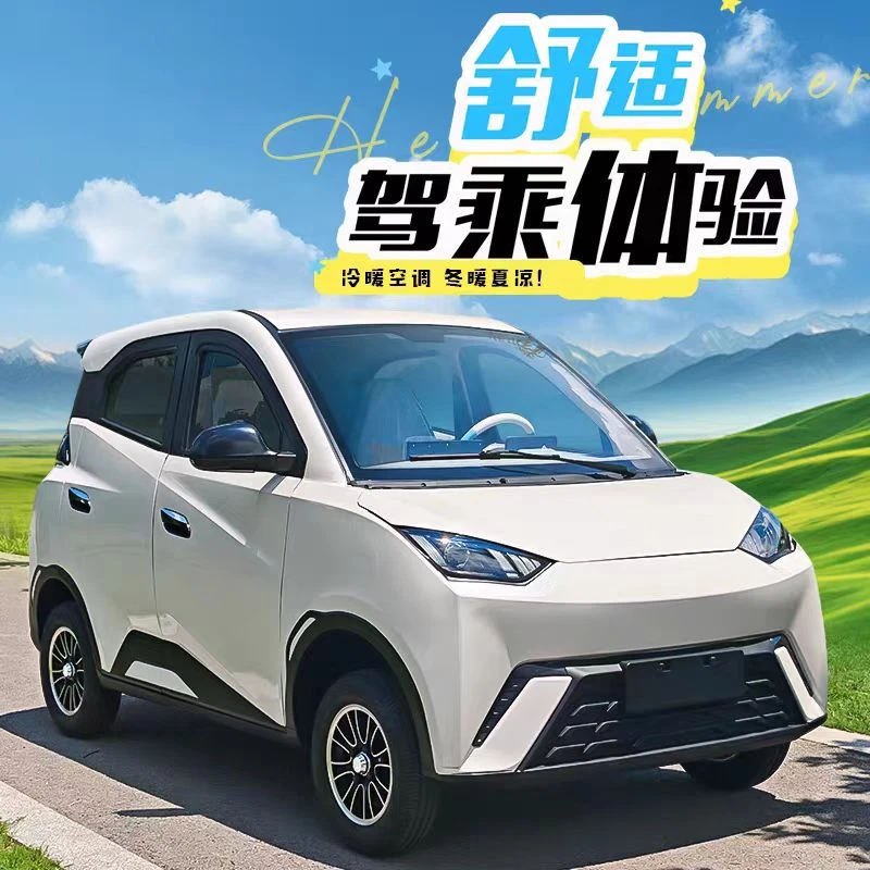 新款海鸥电动四轮车锂电池新能源封闭代步车新能源电动车厂家直销