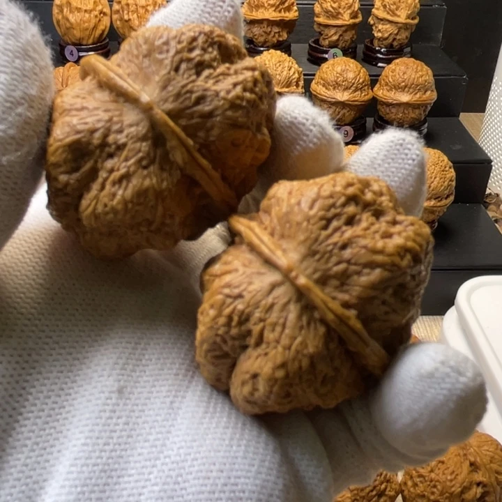 把件文玩核桃蝴蝶蟾44尺24Y