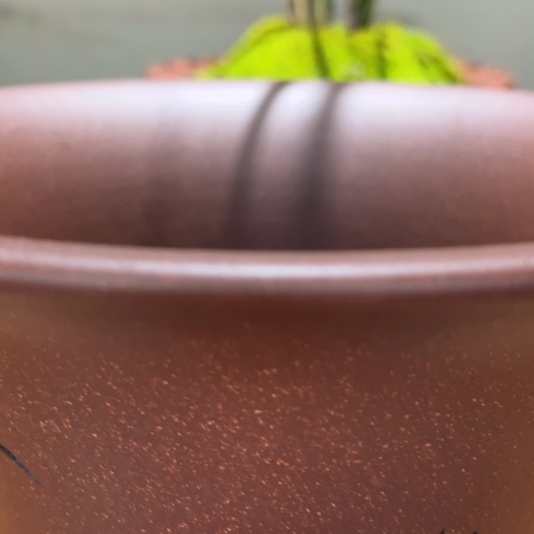 博***堂高温正宗手工花盆