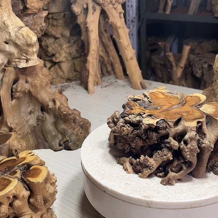 香榧木麻梨疙瘩弟弟