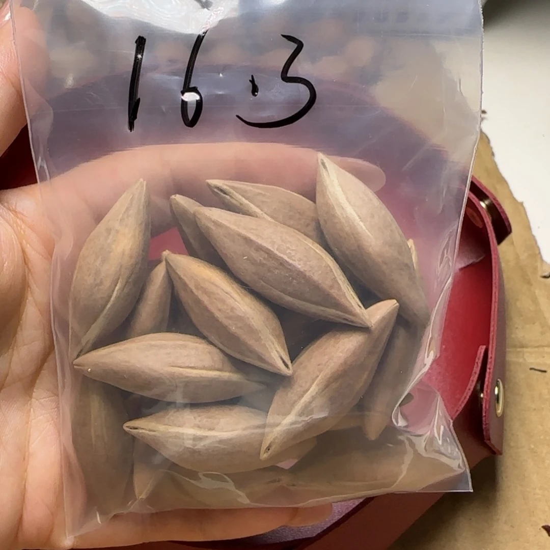 【闪购商品】橄榄核手串/手链橄榄核素核