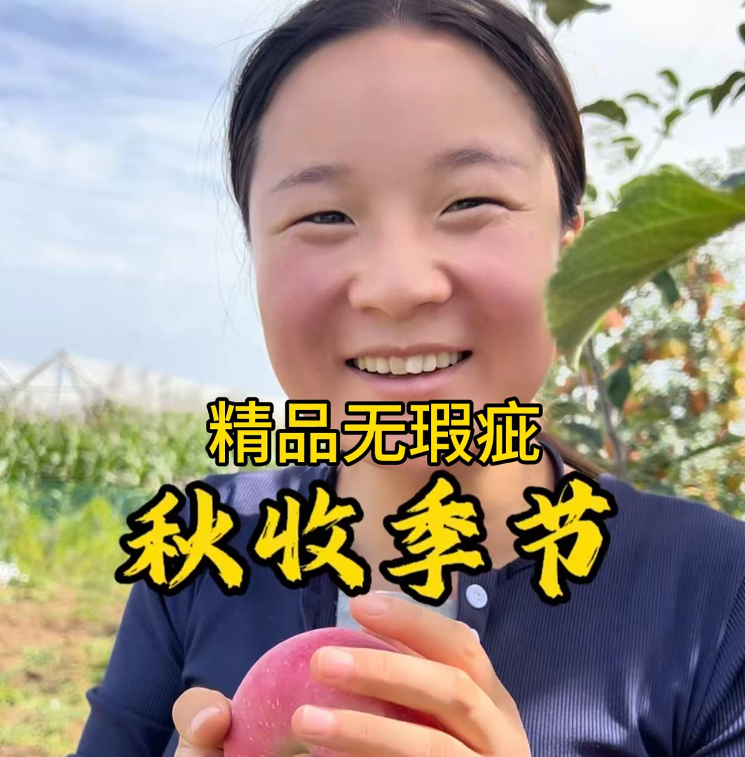 甘肃庆阳佳乡味晚熟红富士苹果脆甜多汁5斤/10斤原产地直发