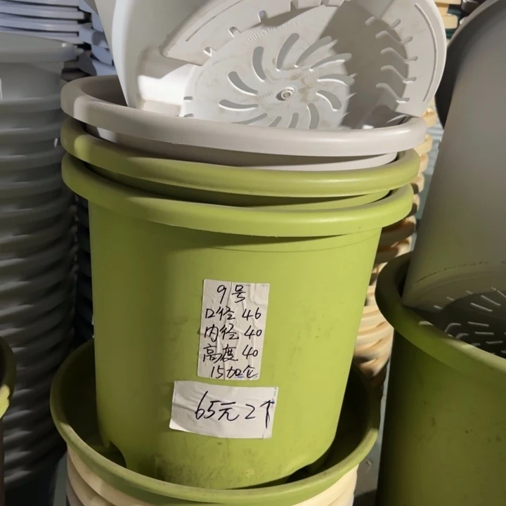 四季9#口径46无托果绿4个