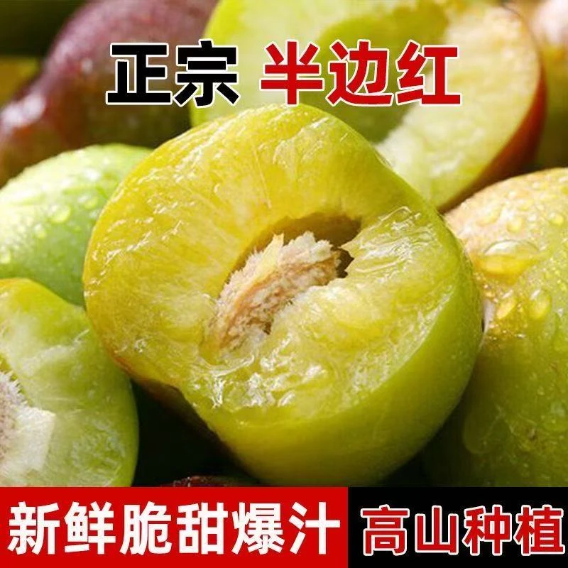 湖南新鲜应季脱骨半边红茵红李脆甜多汁爽口