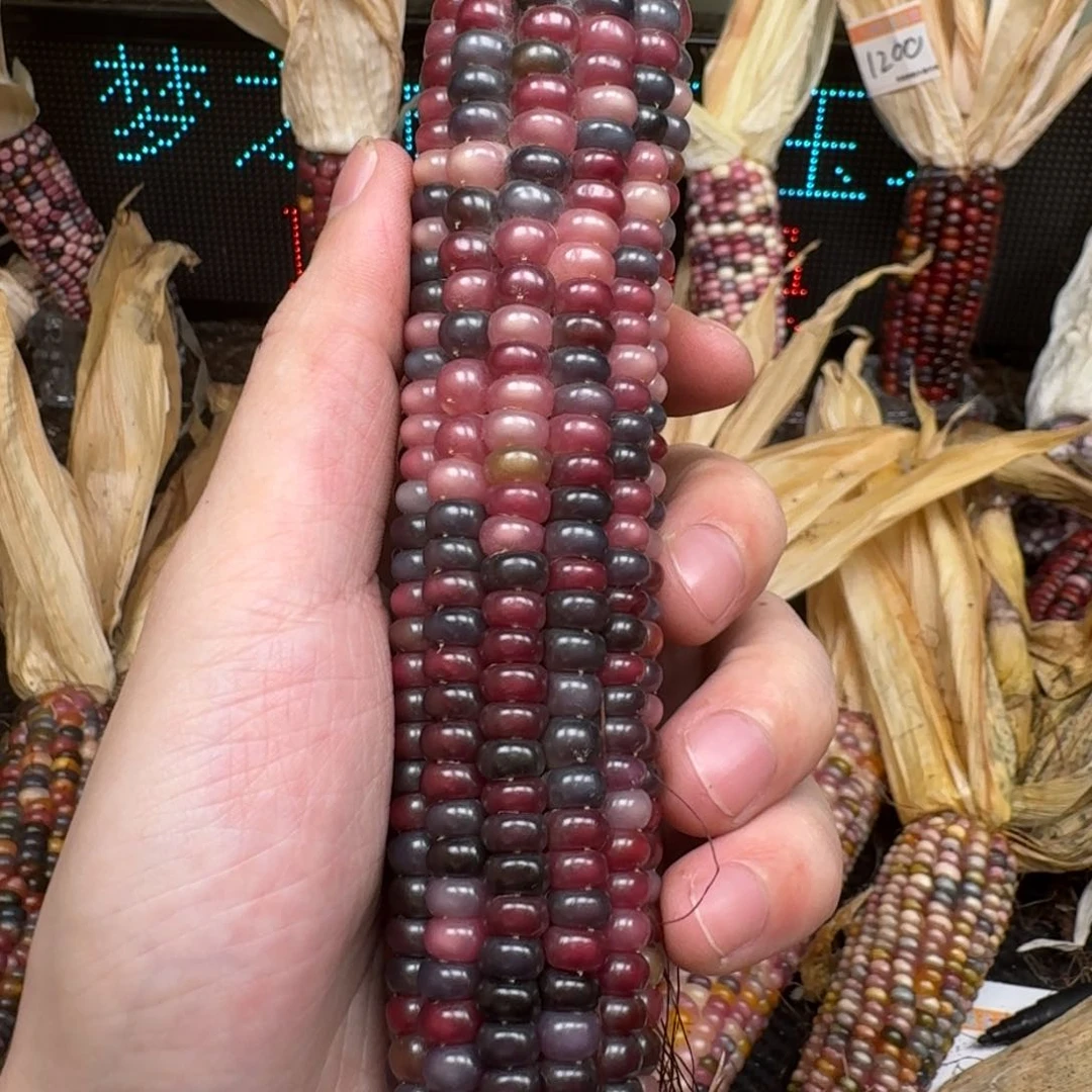 柏香籽/百香籽吊坠智****河