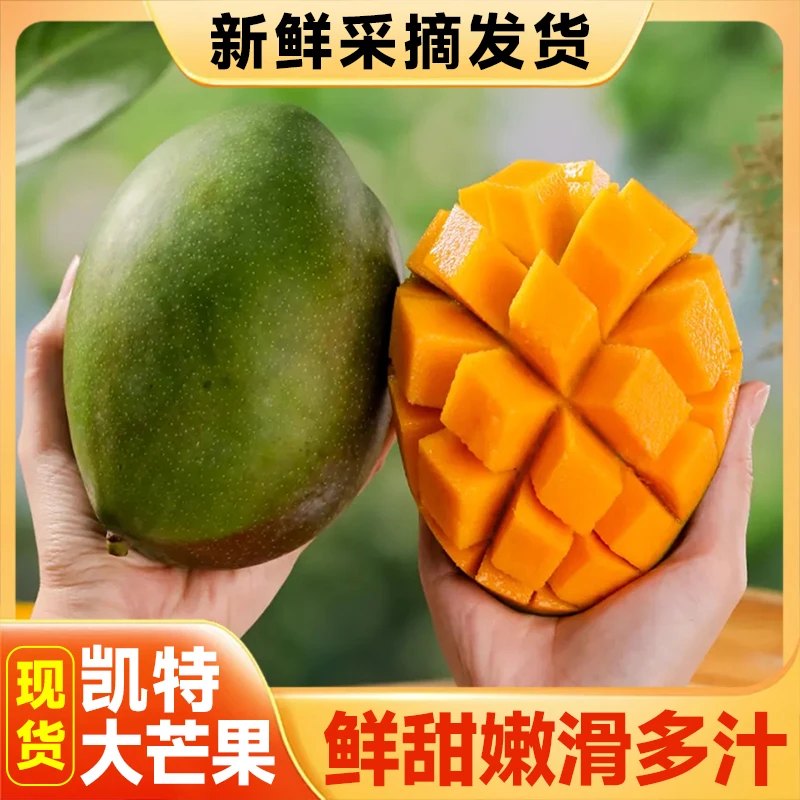 【放软再吃】正宗攀枝花大脸凯特芒产地直发新鲜应季芒果酸甜多汁
