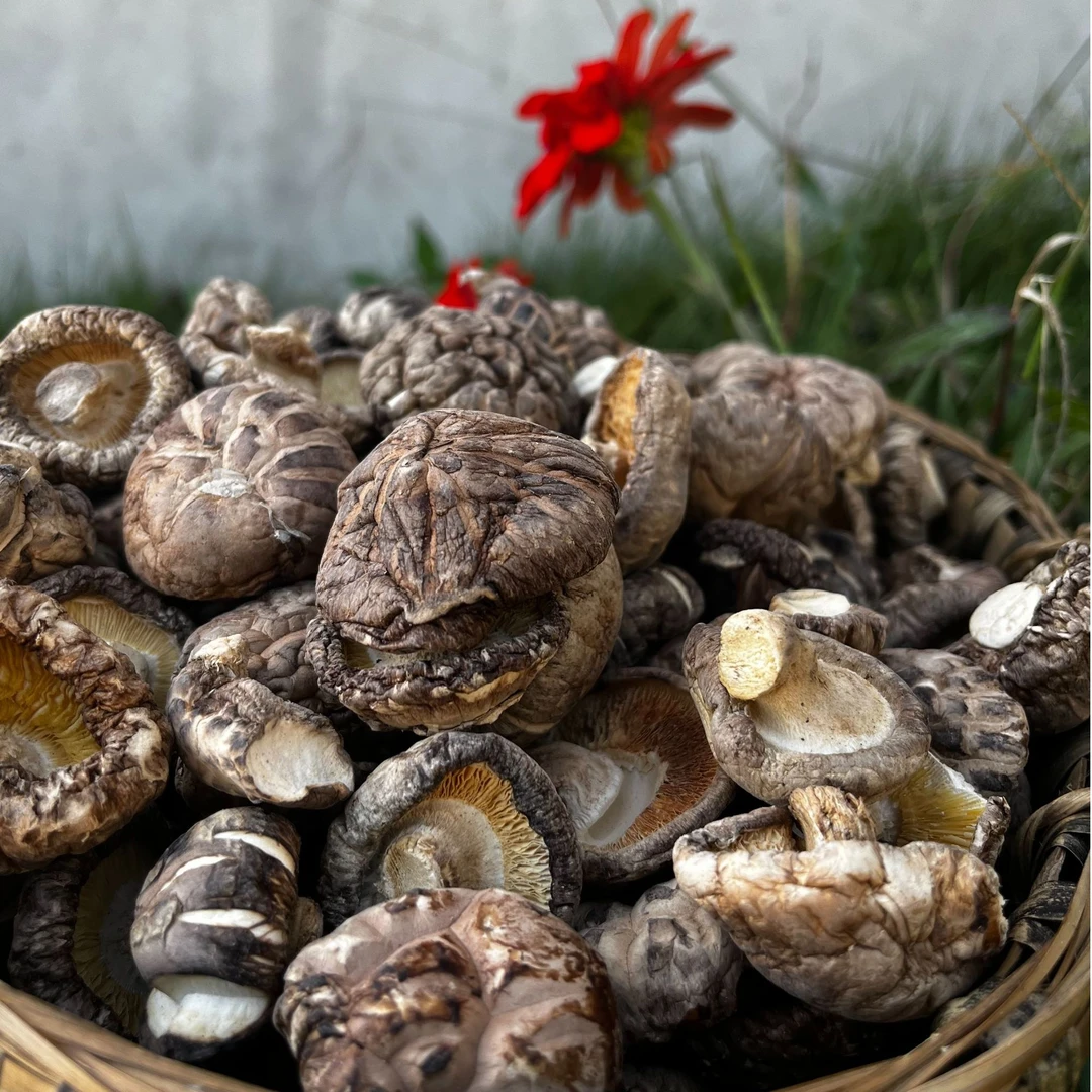 重庆城口高山农家花菇