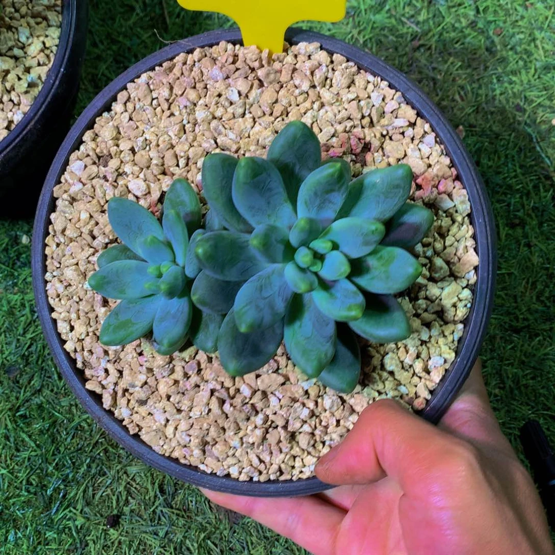 上****哈哈哈哈哈哈哈哈哈哈