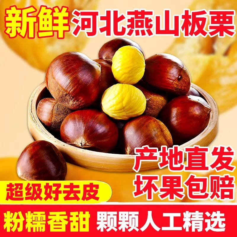 2025年河北新鲜燕山板栗软糯香甜颗颗甄选2斤~5斤包邮坏果包赔