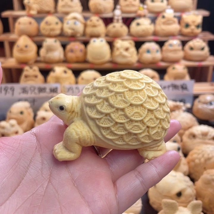 竹金钱龟福利微瑕zzzz