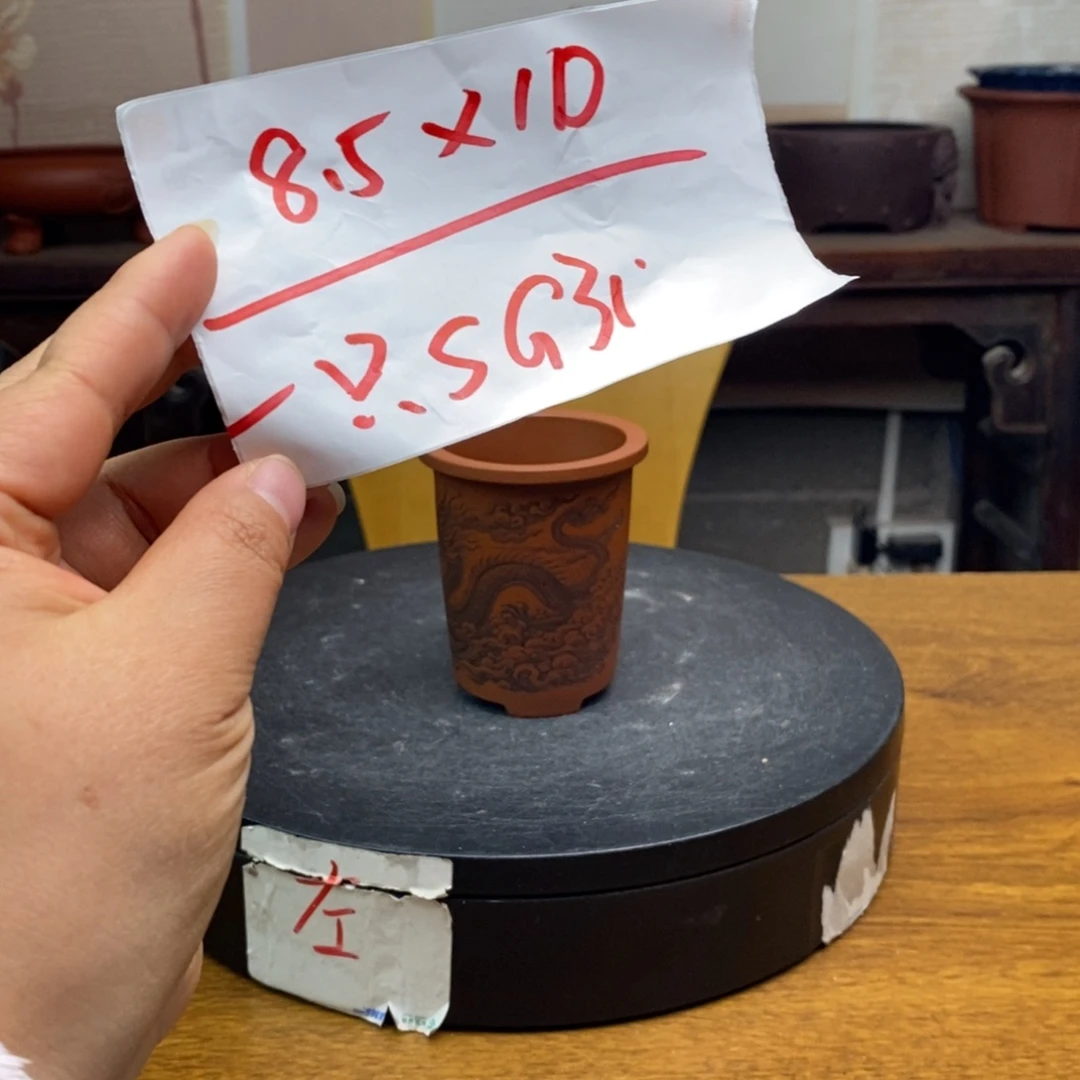 红陶货号一只SG31龙