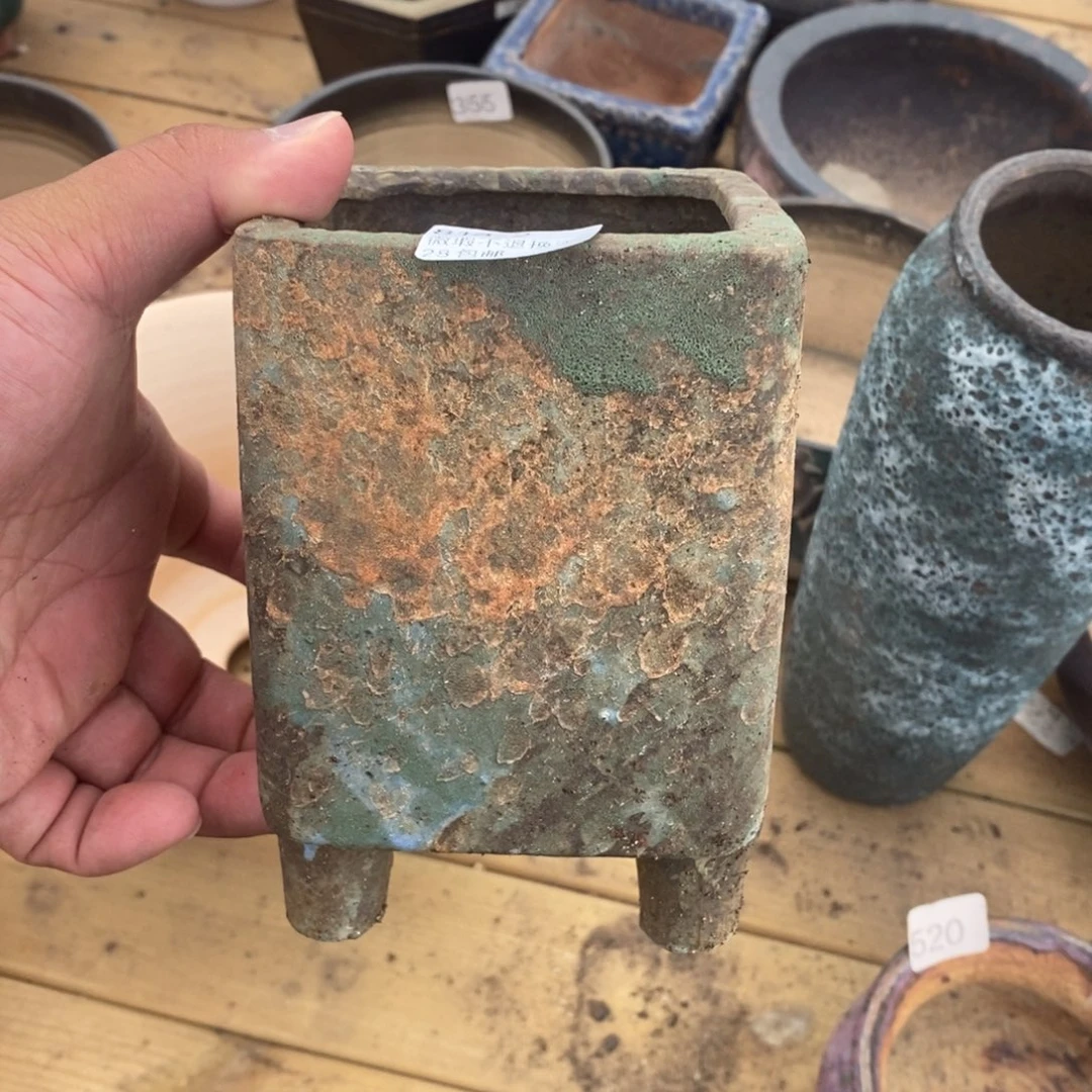 2号花盆内8高14.5