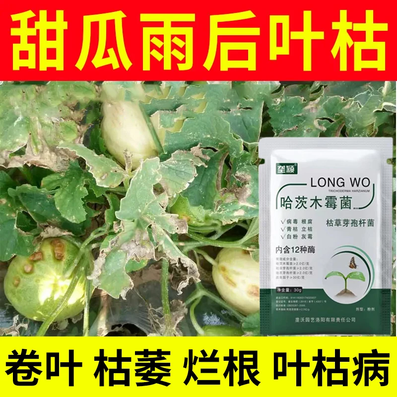 甜瓜雨后病害专用叶枯卷叶枯萎烂根茎腐果腐病菌清多菌灵水溶肥料