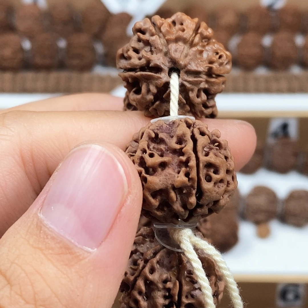 手串金刚菩提精品6瓣铁籽蜂窝
