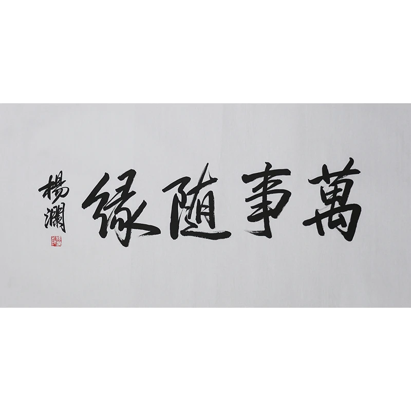 C497 杨澜书法软片 100cm×49cm