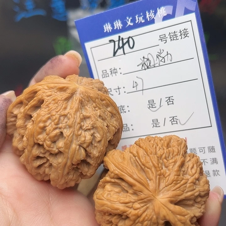 文玩核桃吊坠核桃树240