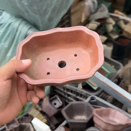 是一个集休闲农业的休闲胜地以及现代