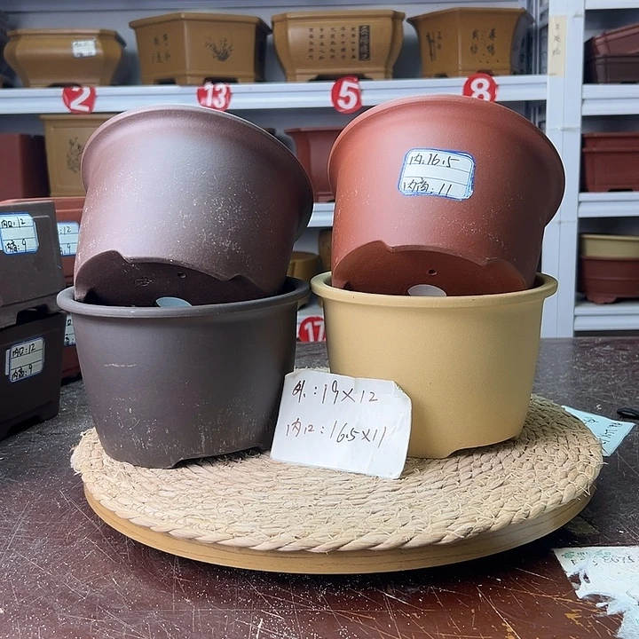 紫砂花盆蛇年大吉