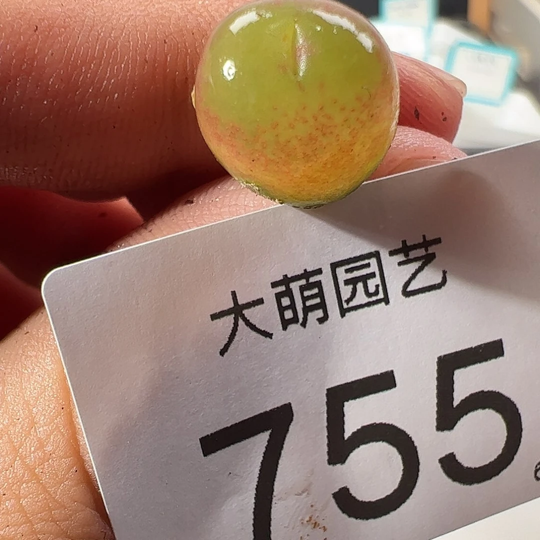 0000755 一物一拍……