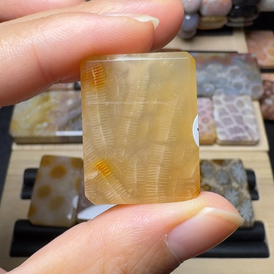 硅化玉未镶嵌糖虫纹