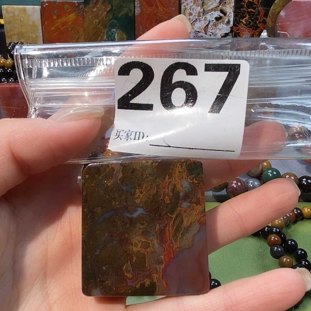 未镶嵌天然北票树化玉吊坠硅化玉