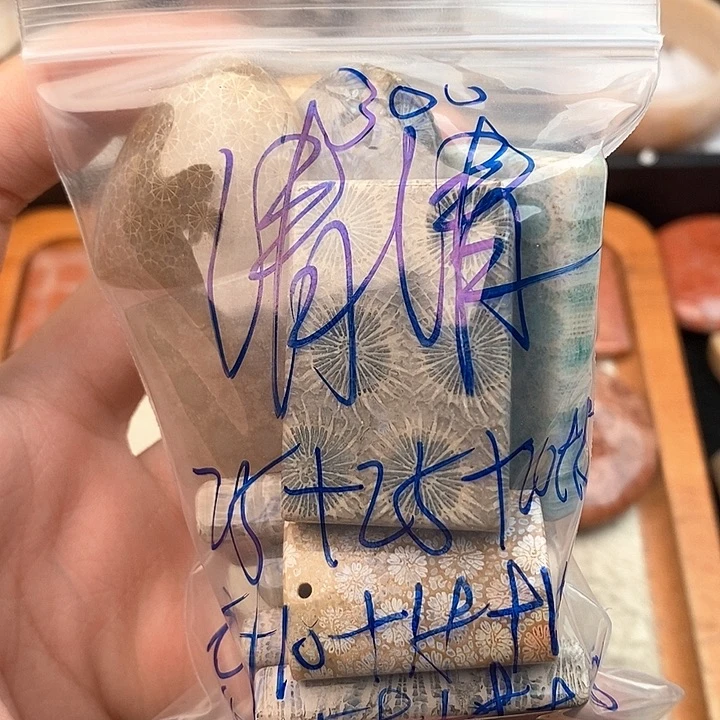 硅化玉颈饰未镶嵌清*