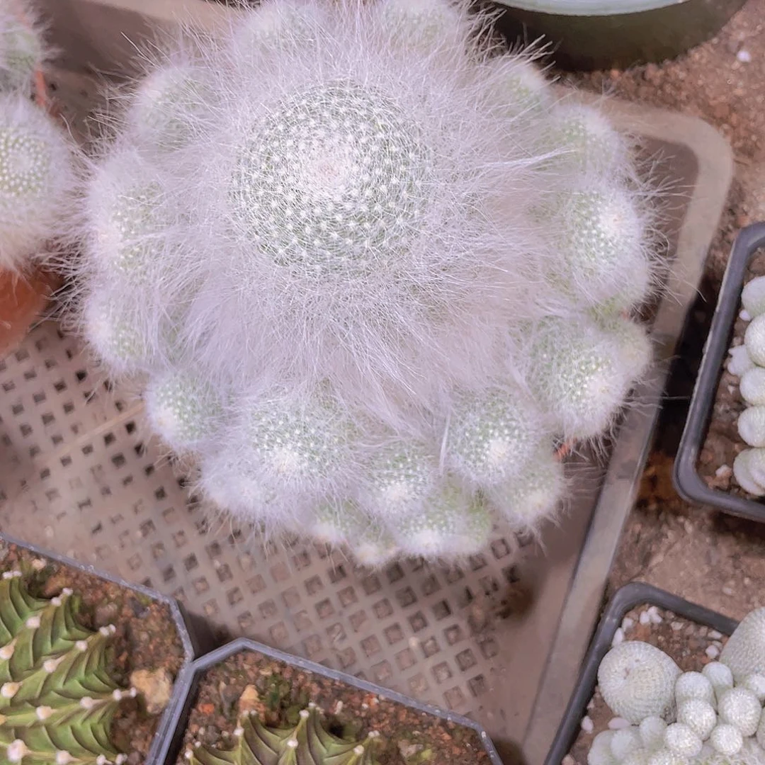 顺风顺水！顺风顺水