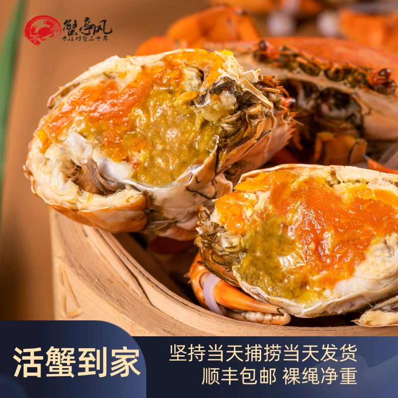 源头蟹场正宗膏油蟹黄油蟹螃蟹青蟹海鲜肉质饱满包肥包活到家送礼