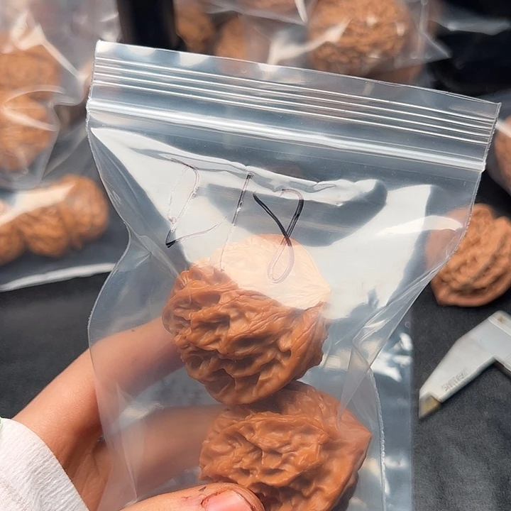 555555555555555555555