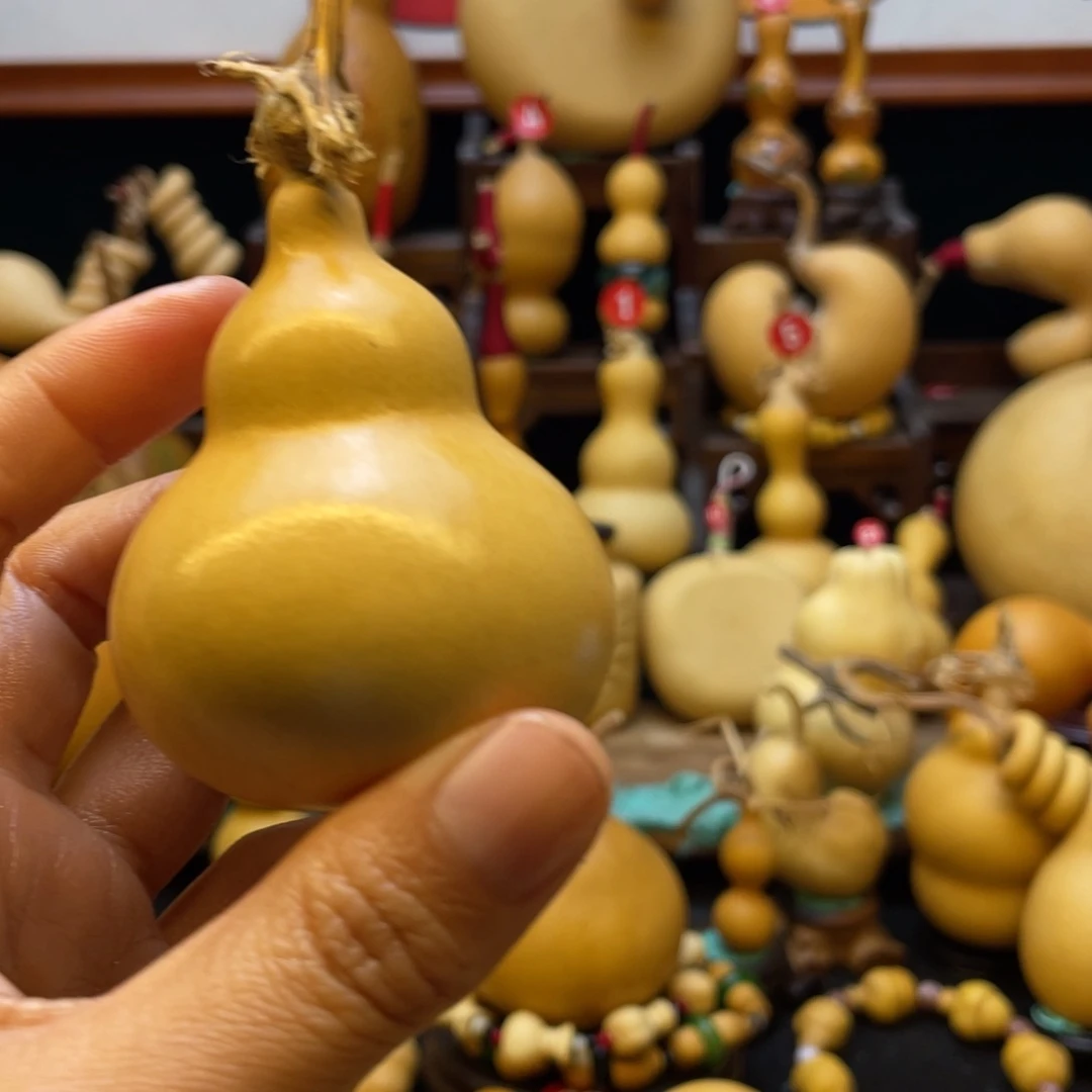 宸*然大自然的秘密第十节第