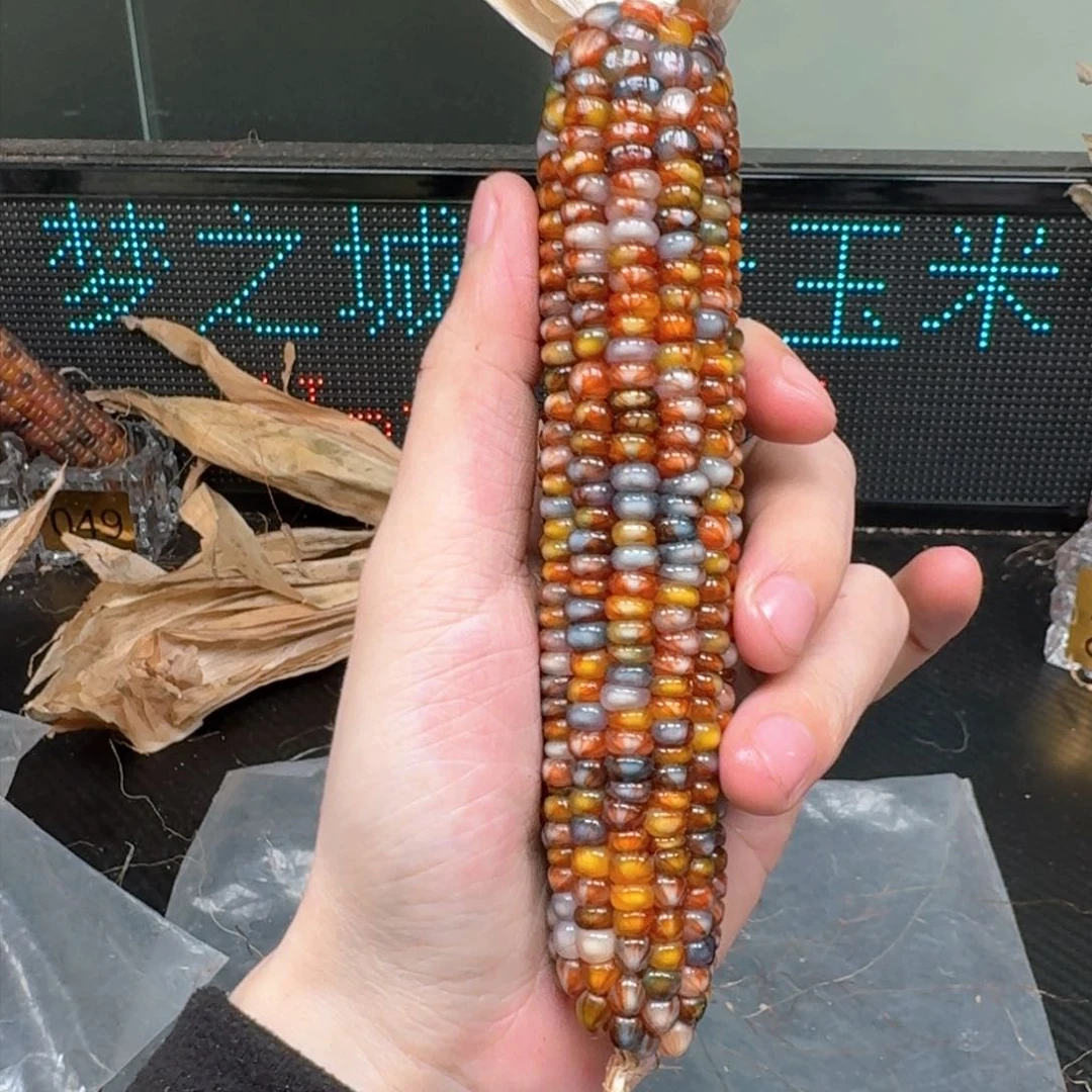 柏香籽/百香籽吊坠柚***檬