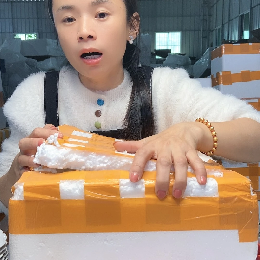 【闪购商品】碟工厂库存微瑕产品016